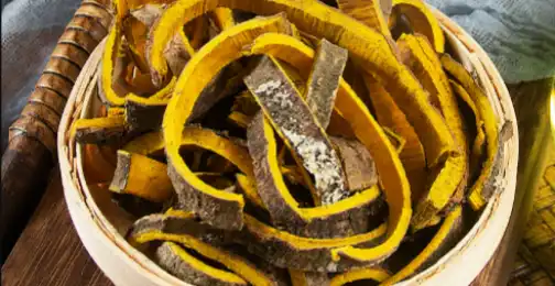 How Phellodendron Extract Supports Liver Health and Detoxification